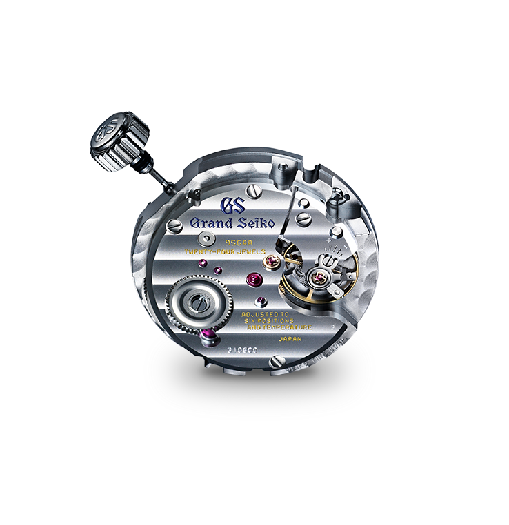 GSK Manual SBGW313