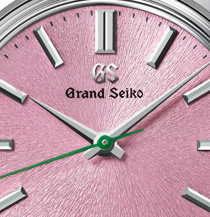GSK Manual SBGW313