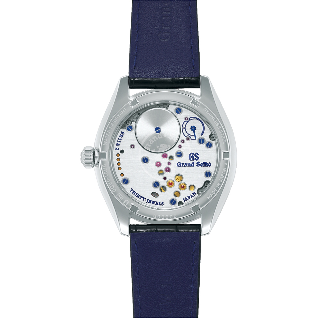 GSK Spring Drive Manual SBGY007